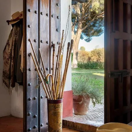 Cortijo Hato Raton, Perfecto Disfrutar Unos Dias Con Familia Y Amigos Holiday home